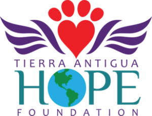 Tierra Antigua Hope Foundation