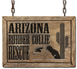 Arizona Border Collie Rescue